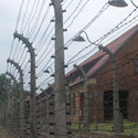 Camp d'Auschwitz