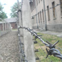 Camp d'Auschwitz